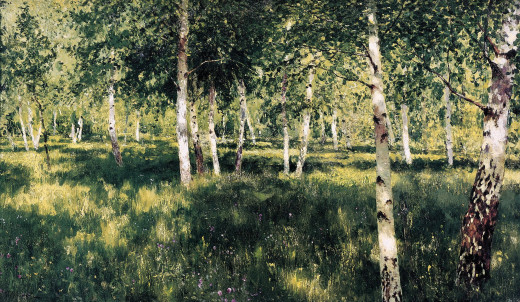 1719186 (a): :2239x1300
